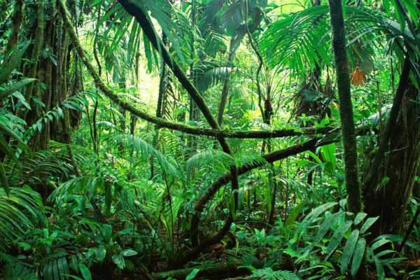 ATV Mountains and Jungles Tour