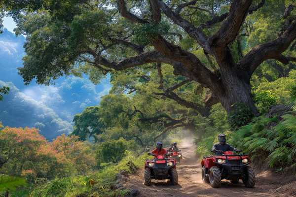 Casado Lunch and ATV Tour