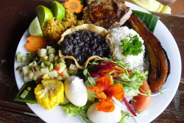 Casado Lunch and ATV Tour