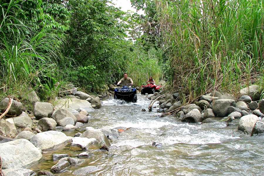 Jungle ATV 4x4 ATV & SxS Tour
