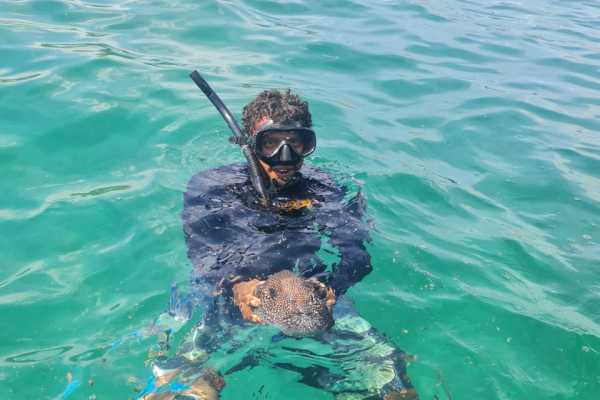 Panga Fishing and Snorkeling ATV Tour