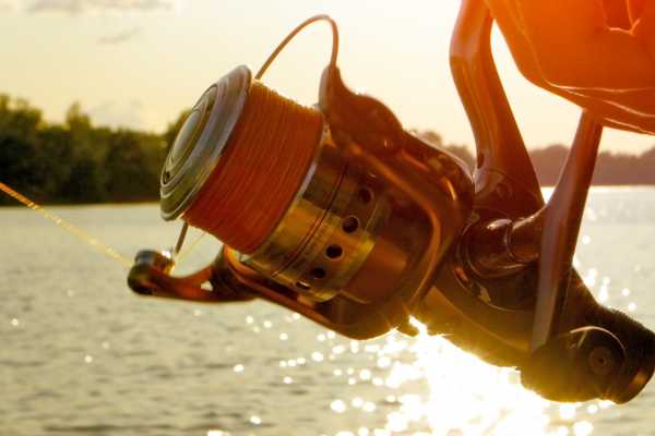 Panga Fishing and Snorkeling ATV Tour