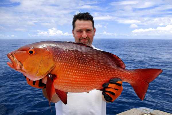 Panga Fishing and Snorkeling ATV Tour