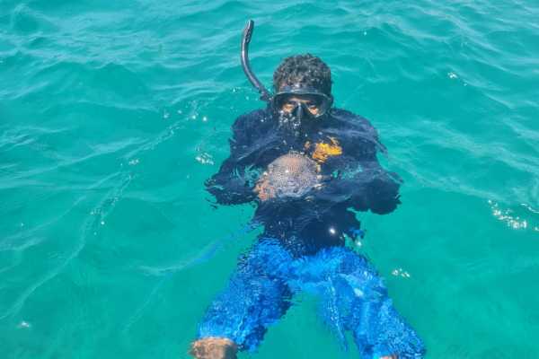 Panga Fishing and Snorkeling ATV Tour