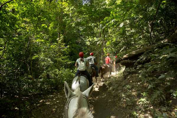 ATV Horseback Riding Combo