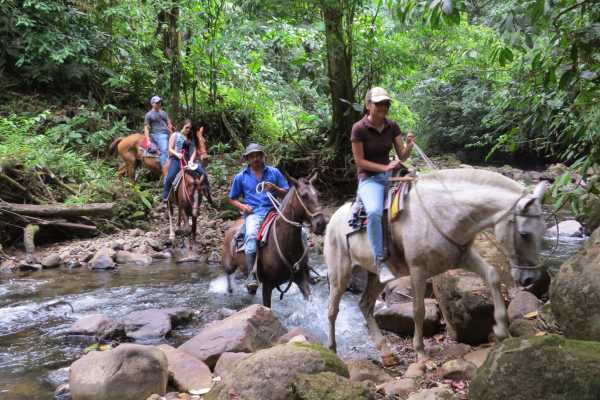 ATV Horseback Riding Combo