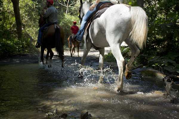 ATV Horseback Riding Combo