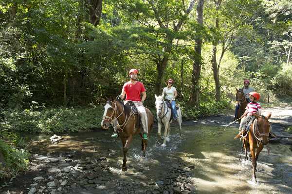 ATV Horseback Riding Combo