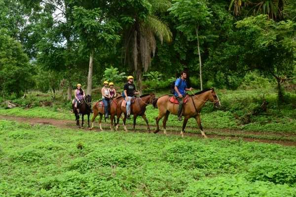 ATV Horseback Riding Combo