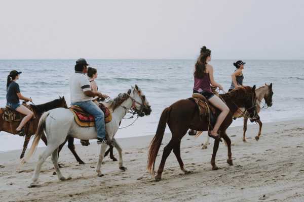 ATV Horseback Riding Combo
