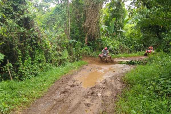 ATV Horseback Riding Combo