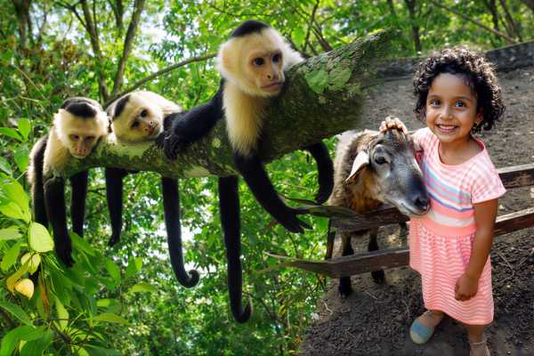 Monkey and Wildlife Tour