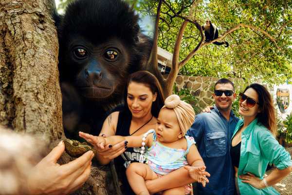 Monkey and Wildlife Tour
