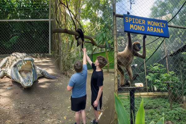 Monkey and Wildlife Tour