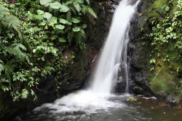 Monteverde "Secret" Hot Spring Trip