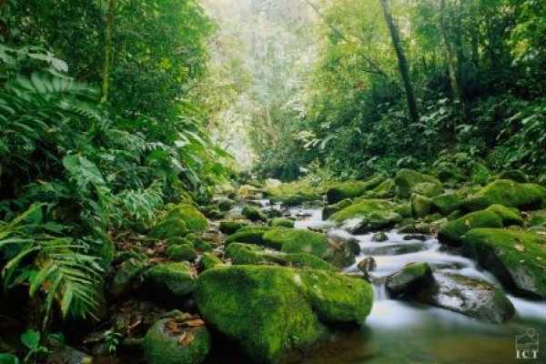Monteverde "Secret" Hot Spring Trip