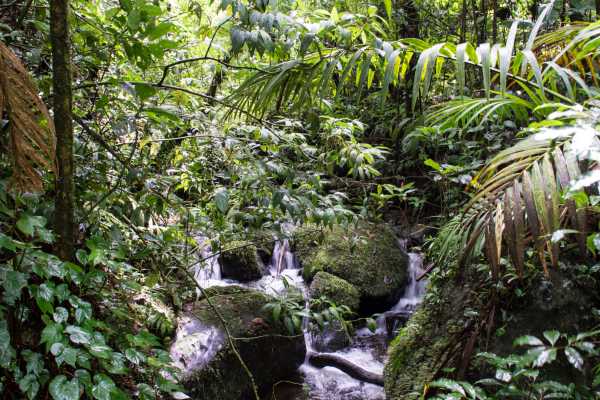 Monteverde "Secret" Hot Spring Trip