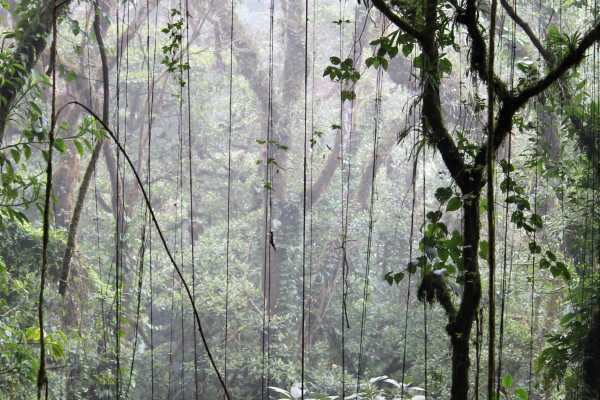 Monteverde "Secret" Hot Spring Trip
