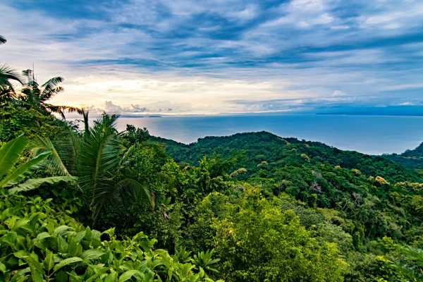 Jungles and Mountains Buggy Tour