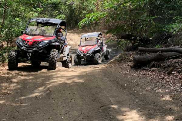 Coastlines Beach Buggy Tour