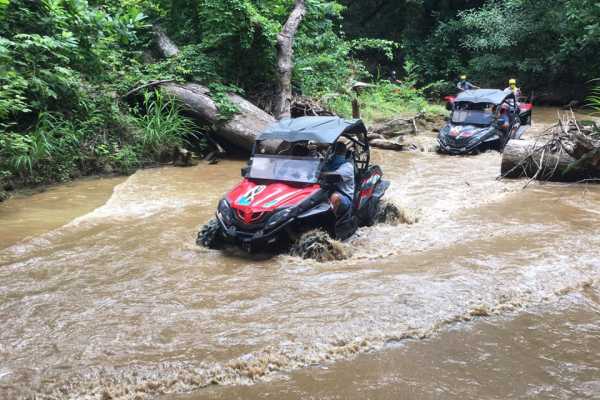 Coastlines Beach Buggy Tour