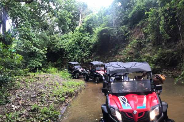Coastlines Beach Buggy Tour
