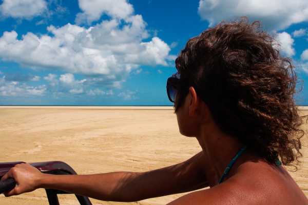 Coastlines Beach Buggy Tour
