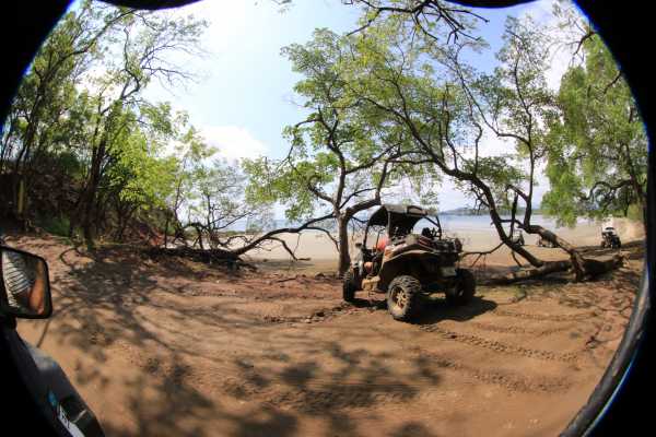 Coastlines Beach Buggy Tour