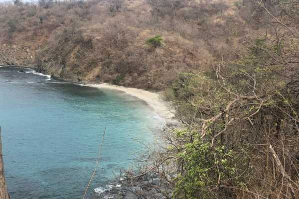 Coastlines Beach Buggy Tour