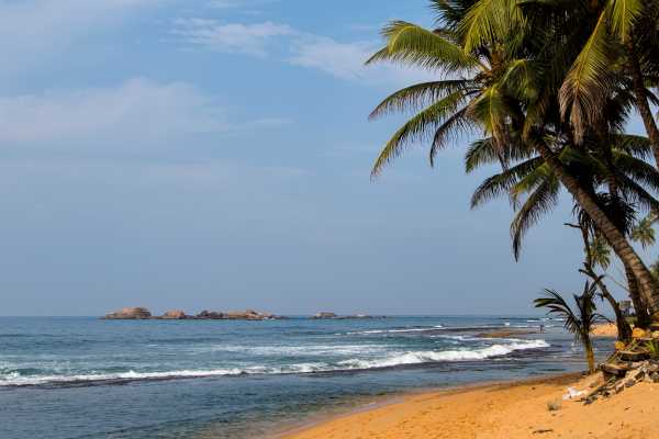 Coastlines Beach Buggy Tour