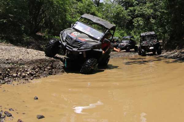 Coastlines Beach Buggy Tour