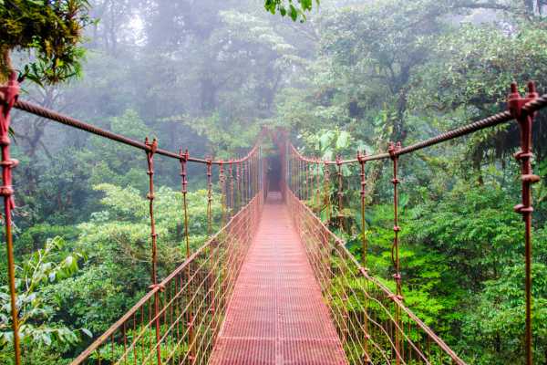 Arenal Hanging Bridges Tour