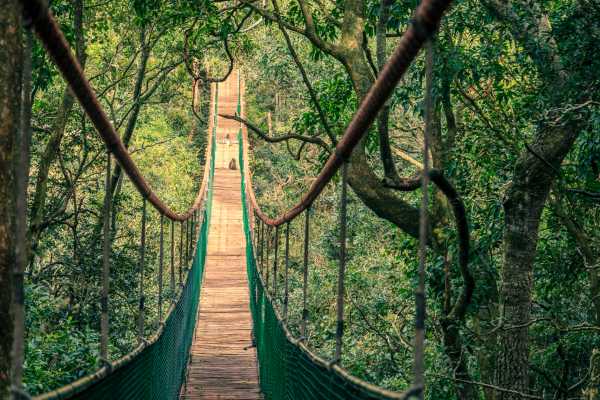 Arenal Hanging Bridges Tour