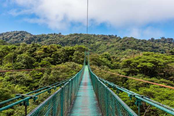 Arenal Hanging Bridges Tour