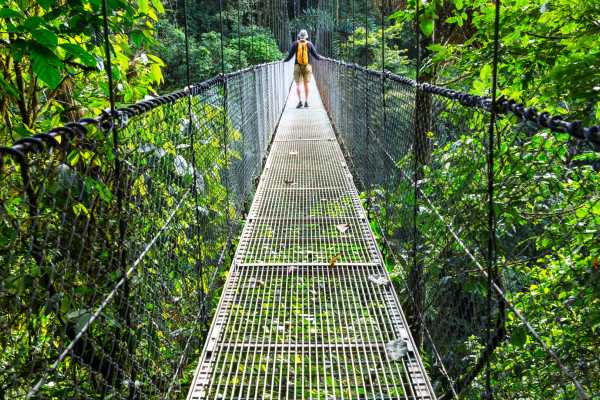 Arenal Hanging Bridges Tour