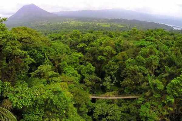 Arenal Hanging Bridges Tour
