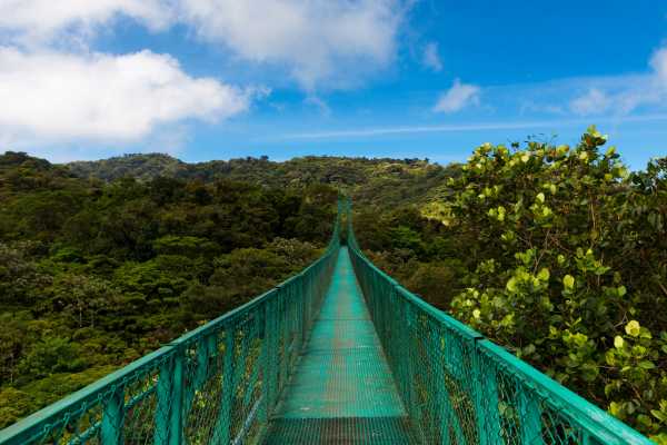 Arenal Hanging Bridges Tour