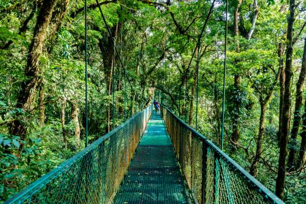 Arenal Hanging Bridges Tour
