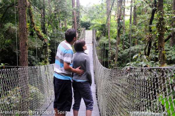 Arenal Hanging Bridges Tour