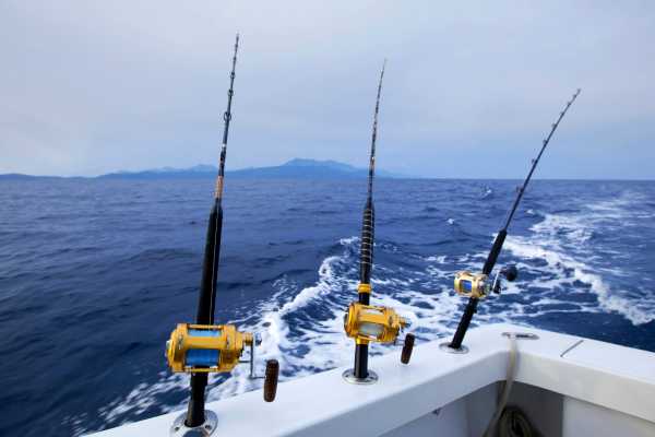 Pro Sport Fishing Excursion