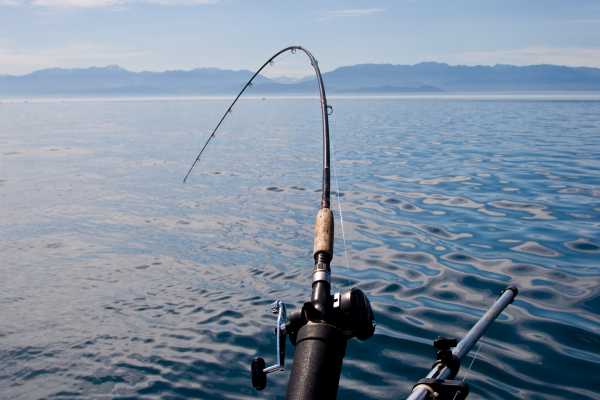 Pro Sport Fishing Excursion