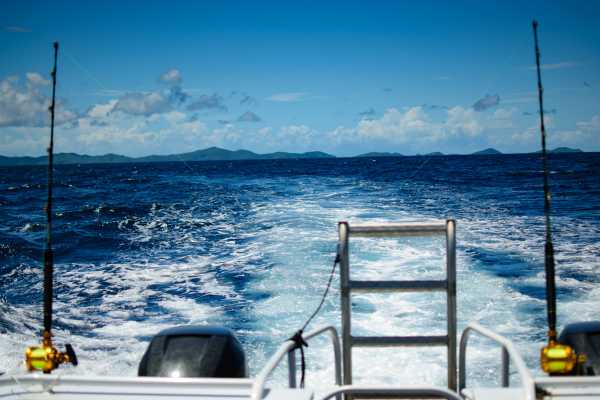 Pro Sport Fishing Excursion