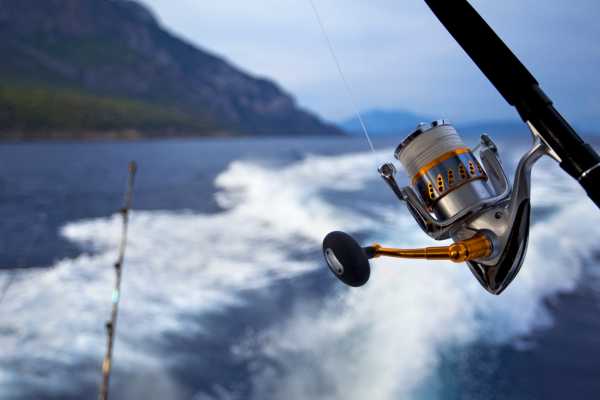 Pro Sport Fishing Excursion