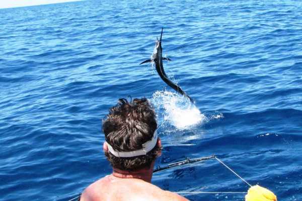 Pro Sport Fishing Excursion