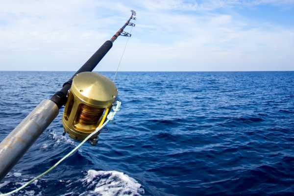 Pro Sport Fishing Excursion