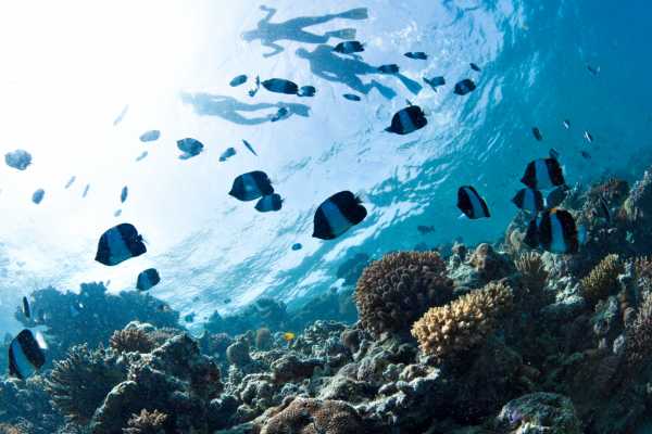 Pro Sport Fishing Excursion