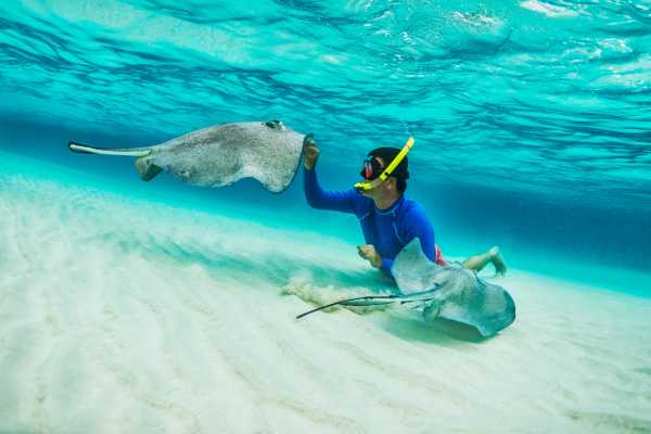 Pro Sport Fishing Excursion