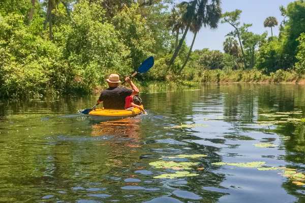 Tamarindo Estuary Kayaking Tour
