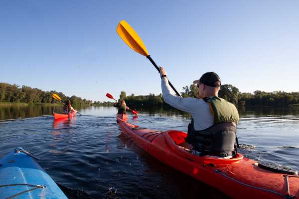 Tamarindo Estuary Kayaking Tour