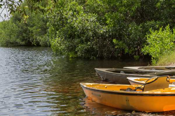 Tamarindo Estuary Kayaking Tour